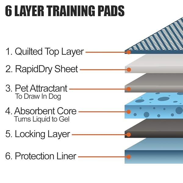 BV PUPPY PADS LEAK-PROOF 100 COUNT 22″X 22″ – ABSORBENT PEE PADS FOR DOGS WITH 6-LAYER DESIGN, RAPID DRY SHEET & BUILT-IN ATTRACTANT – DOG PAD WITH ODOR CONTROL, PERFECT FOR PUPPIES & SENIOR DOGS
