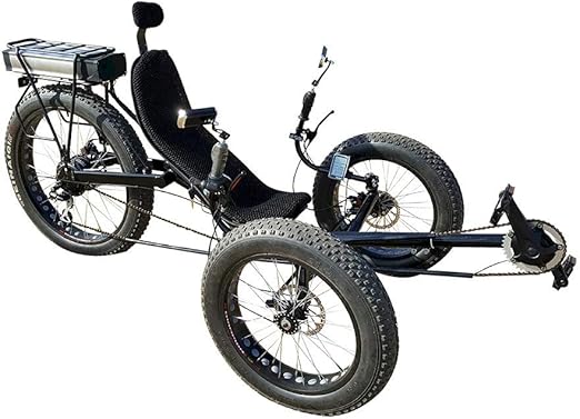 recumbent trike hubs