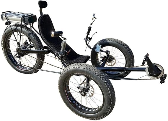 recumbent trike electric hub motor