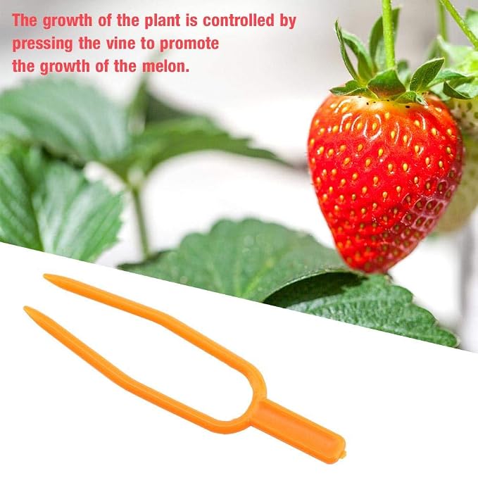 Plant Clip 100PCS Fresa Plantación Tenedor Presión Vid Horquilla ...