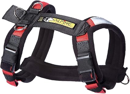 Amazon Com Alpine Outfitters Urban Trail Adjustable Harness