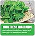 Big D 1504 Enzym D Digester Deodorant, Mint Fresh Fragrance, 1 Gallon (Pack of 4) - Breaks down organic waste and destroys odors - Ideal for use on urine in restrooms and carpets