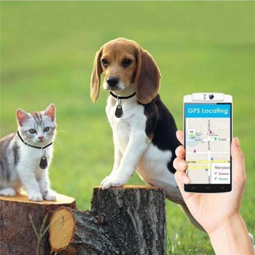Bluetooth Tracker, Smart Finder Bluetooth Locator Pet Tracker Alarm GPS Tracker Key Wallet Car Kids Pet Dog Cat Bag Phone Locator Selfies Shutter Wireless Anti Lost Alarm Sensor-Random Color (3 PCS)