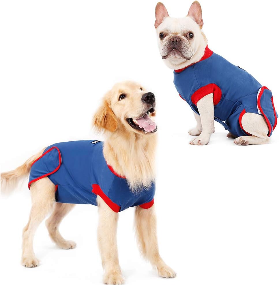 elizabethan collar alternative