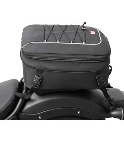 Amazon.com: KJTYSDM Motorcycle Tail Bag for Kawasaki Ninja ZX 4RR