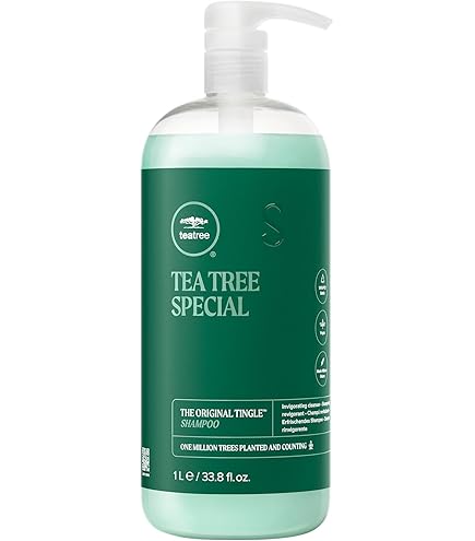 where to buy money tree Money Tree 10" Std