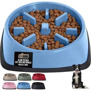 Amazon Best Sellers: Best Dog Slow Feeders