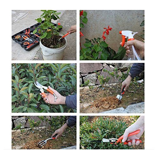 Garden Tool Set 12 Pieces Gardening Hand Tool Kits with Grass Sheers, Pruning Saw, Trowel Set, Rakes, Watering Bottle and Measuring Tapes
