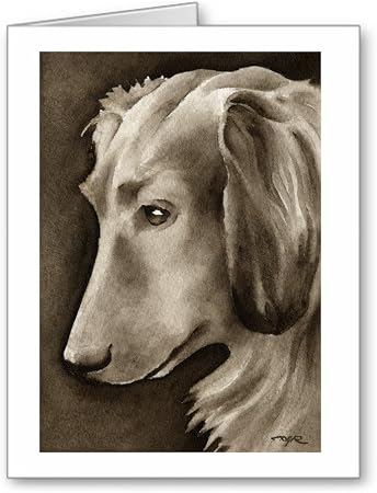 Amazon Com Longhaired Dachshund Set Of 10 Dog Note Cards With