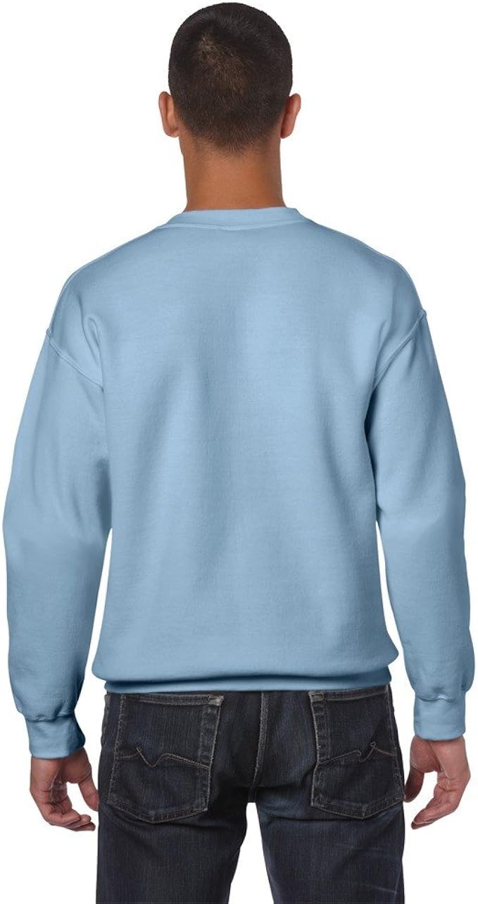 gildan baby blue hoodie