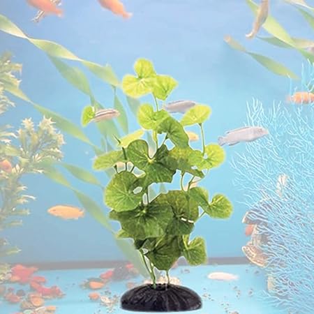 Amazon Com Marina Ecoscaper Hydrocotyle Silk Plant Plant 8 Inch