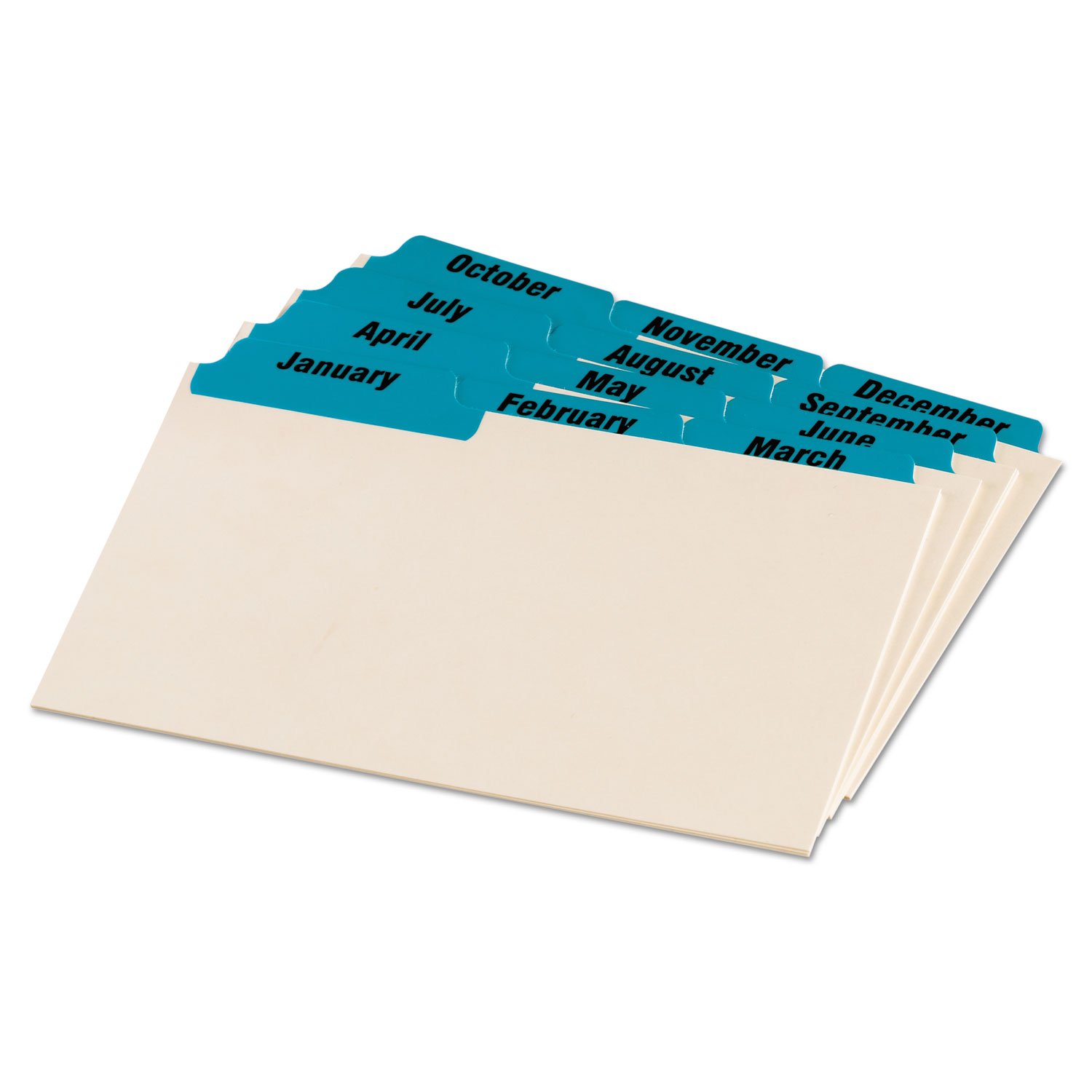 Oxford 04613 Laminated Tab Index Card Guides, Monthly, 1/3