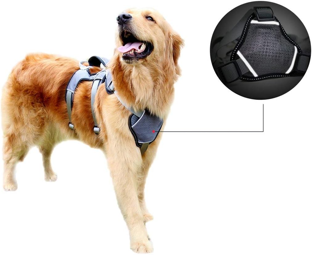 Haustier HEI SHOP NoPullHundegeschirr Brustgeschirr Verstellbare