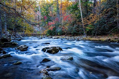 Landscape Photography Print (Not Framed) Picture of Laurel Creek in Fall Color on Autumn Day in Great Smoky Mountains Tennessee Appalachian Wall Art Nature Decor 4x6 to 40x60