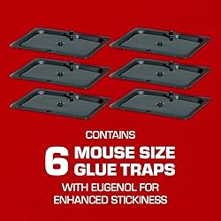 Tomcat Glue Traps Mouse Size with Eugenol for