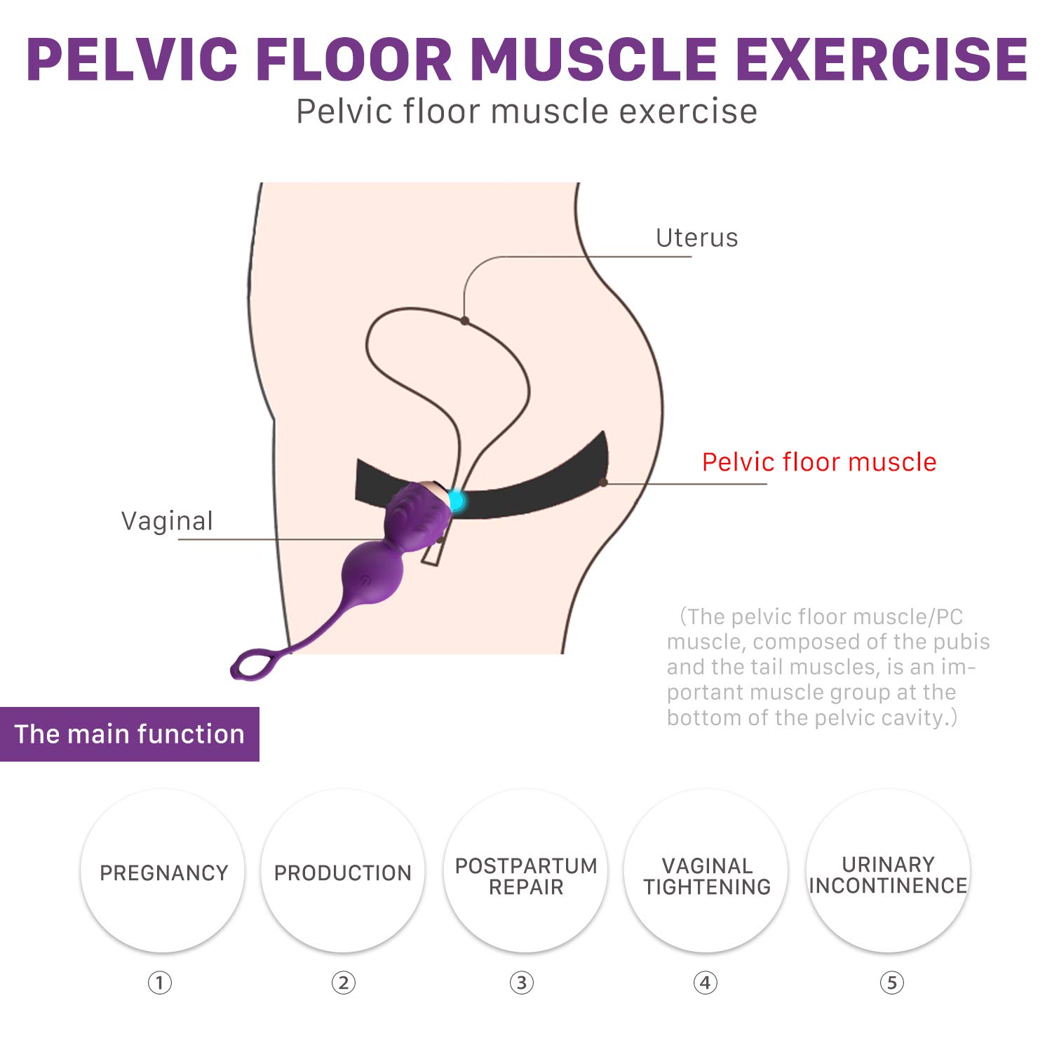 Kegel Balls Exercise Weight for Women Bladder Control & Pelvic Floor Exercises Tightening,Wireless Remote Silicone Ben Wa Balls Pelvic Weights Training Set for Beginners & Advanced Tightening (Purple)