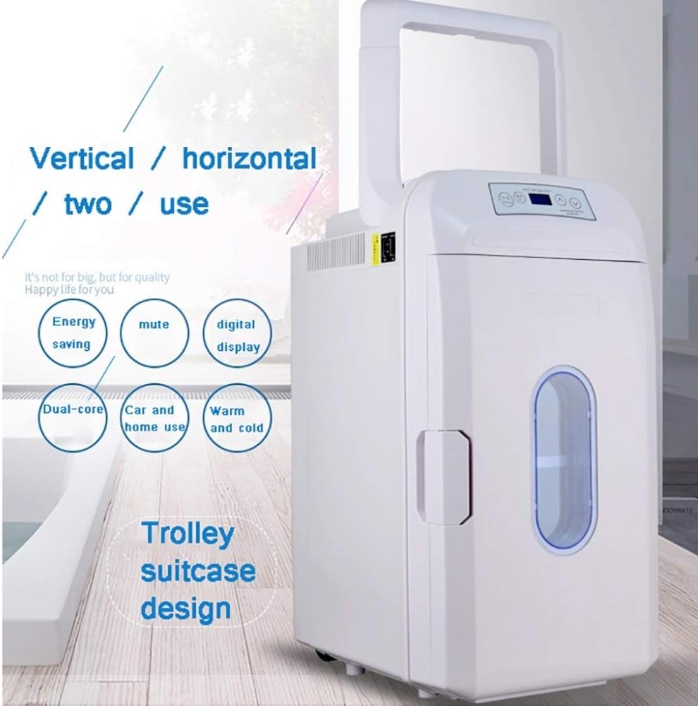 congelatore 12v per camion