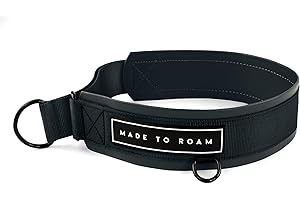 MADE TO ROAM Premium Everyday Dog Collar - Martingale Style No Pull Vegan Leather Collar, Heavy Duty and Lightweight for Small, Medium, Large Dogs (New York Afterlight, Size 7)