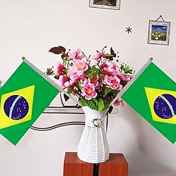 Brazilian Flags 20 Pack, Small Handheld Flags of