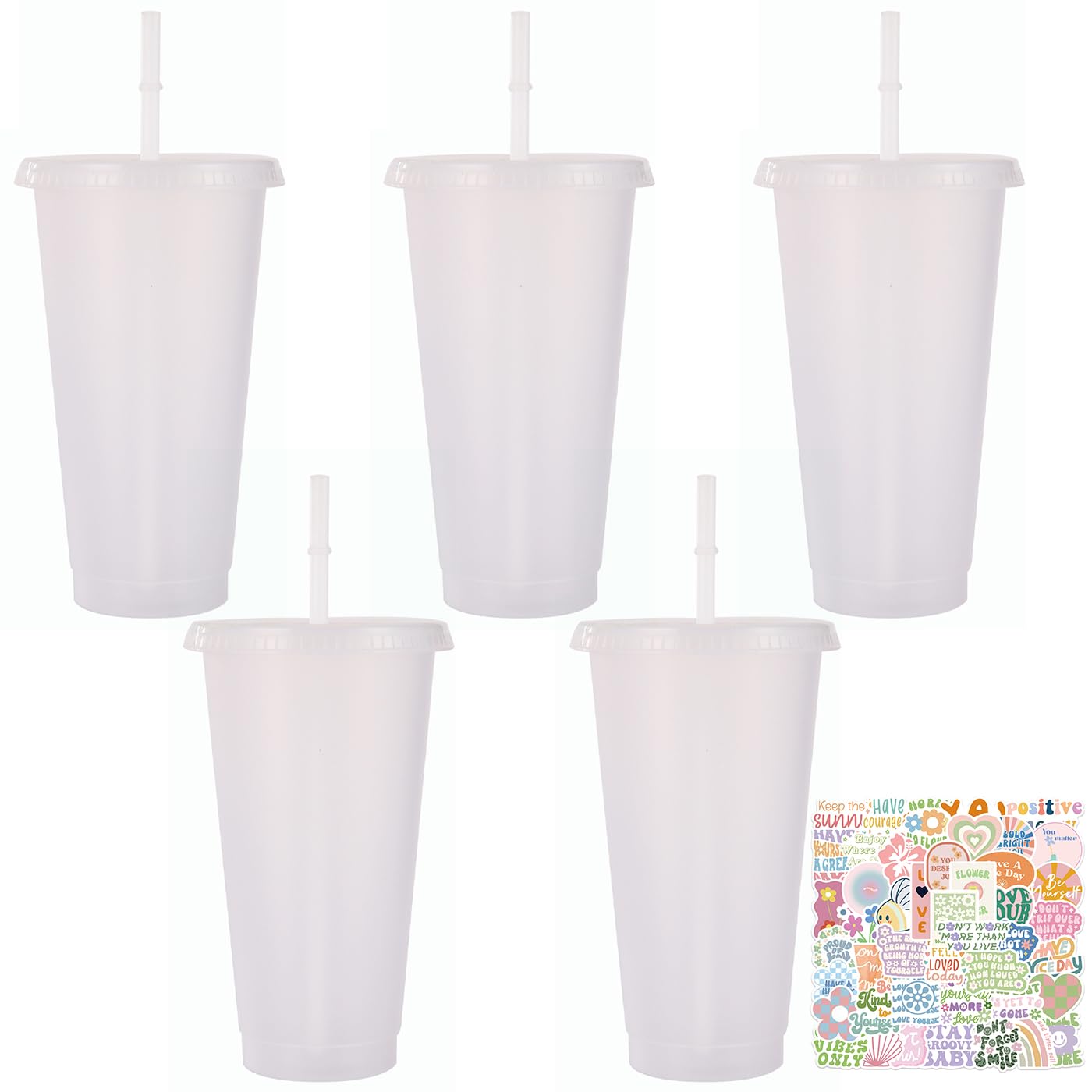 AYNKH 5 Pcs 24oz/700ml Reusable Plastic Cup,Iced Water Drinkware with Lids & Straws & Stickers,Transparent Party Mug,Acrylic Cups Bulk Tumbler Set for Coffee,Smoothie,Cold