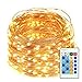 Amysen LED String Lights, 33ft 100 LEDs Remote Control Dimmable Complete Waterproof (Warm White 66FT)