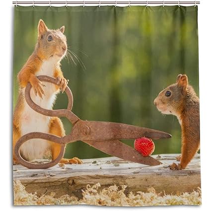 Amazon Com Jubenlcai Cute Squirrels Shower Curtain 60 X 72 Inch