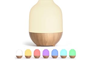 SALUBRITO Essential Oil Diffuser, 100ml Small Ultrasonic Aromatherapy Diffuser, Cool Mist Diffuser for Essential Oils, Warm N