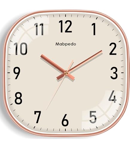 Amazon.com: Skilcraft Self-Set Wall Clock - Plastic Contemporary