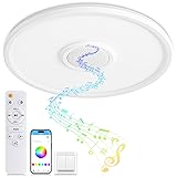 LED Ceiling Light Fixture with Bluetooth