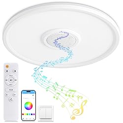 LED Ceiling Light Fixture with Bluetooth