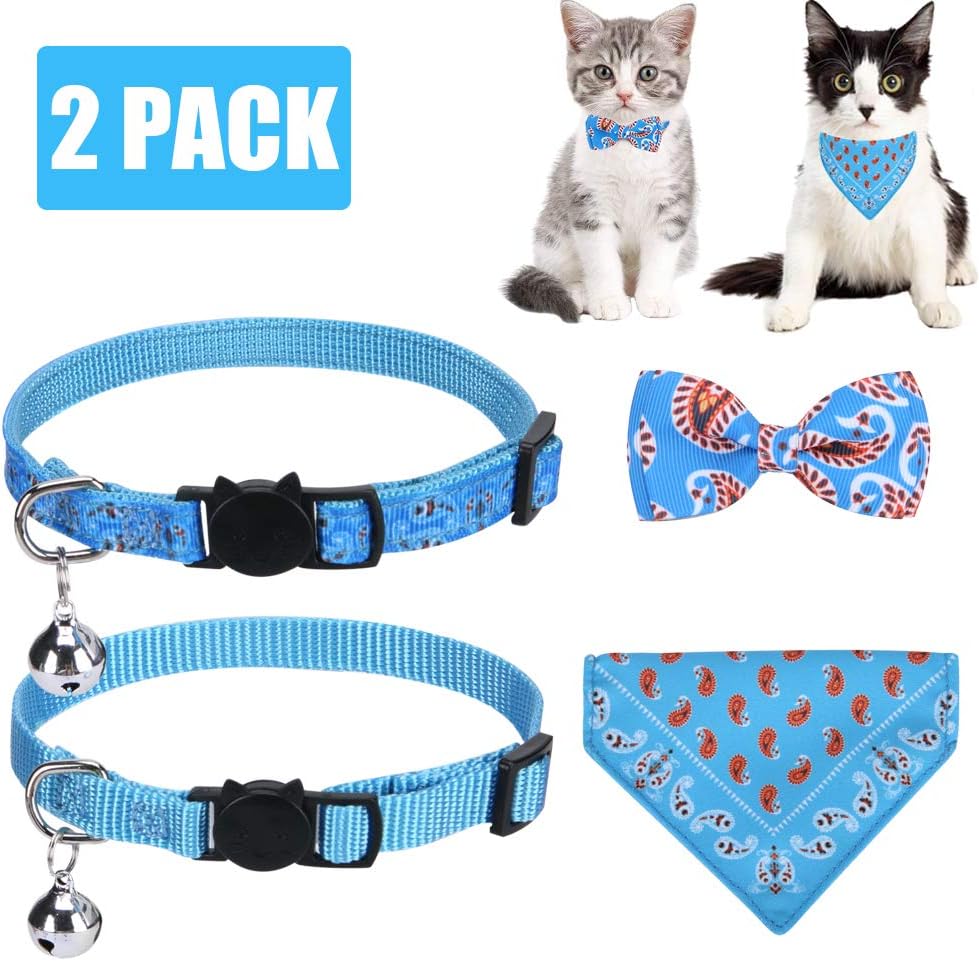 detachable cat collar