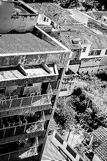 Livro Poetas : de Miguel Luiz