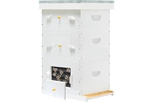 BEETECH OUTLET Hand Painted Bee Hive with Windows, 10 Frame Beehive Frames Bee Hive Box with Beehive Frames and Foundations （ 1 Medium & 2 Deep Brood Box ）
