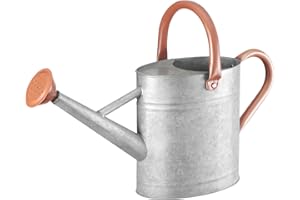 CherHome Watering Can for Outdoor Plants&Indoor Plants,Plant Watering Can 1 Gallon,Metal Flower Garden Watering Can Water Can Watering Pot,Galvanized Steel Watering Can Outdoor(Rustic Silver)