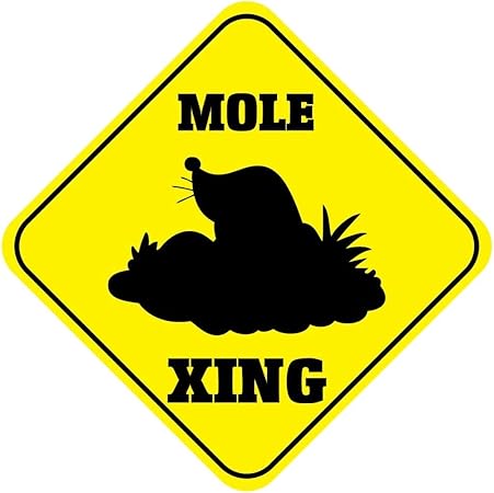 Amazon De Dozili Aluminium Kreuz Schild Motiv Maulwurf Uberkreuzt 30 5 X 30 5 Cm