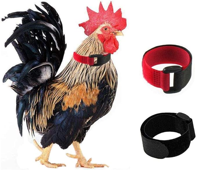 KOSTOO 2 Pack No Crow Rooster Collar, Chicken Collar AntiHook Noise