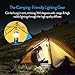 Collapsible LED Camping Lantern with Flash Light, Ultra Bright 300 Lumens COB Lighting Source Great for Hurricanes, Emergency, Outdoor Hiking, Portable Battery Powered Camping Lights (2-Pcs, Blue)
