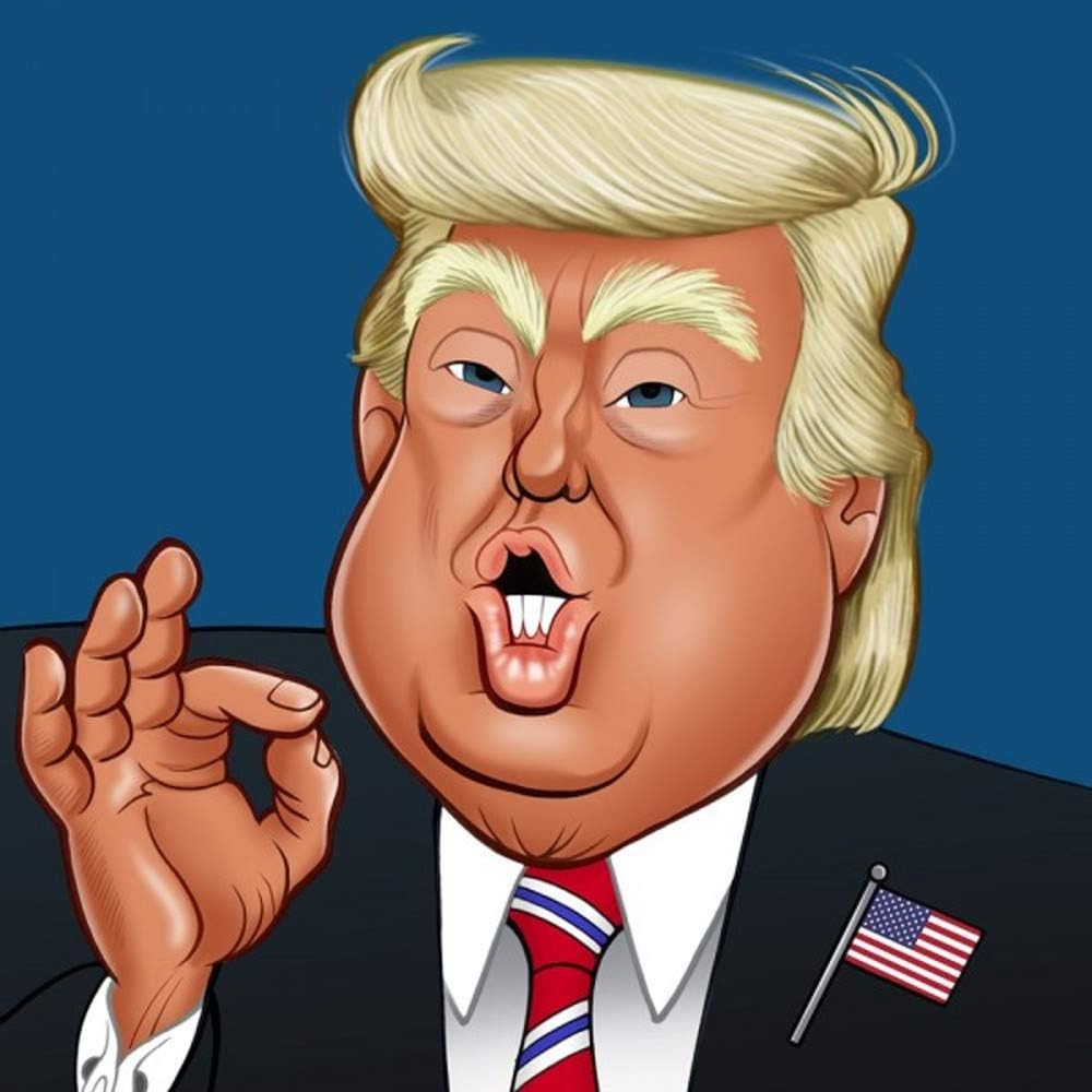 Donald Trump - Greeting Sound Card by Really Wild Cards