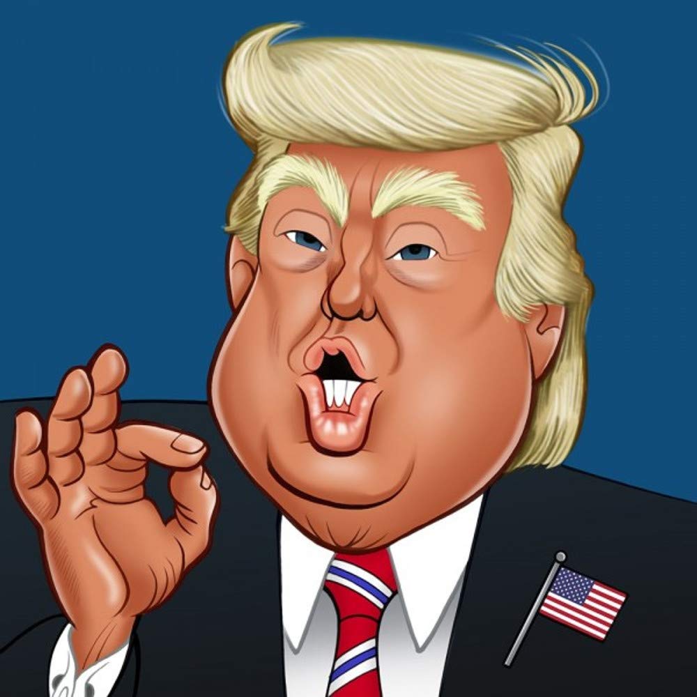 Donald Trump - Greeting Sound Card by Really Wild Cards