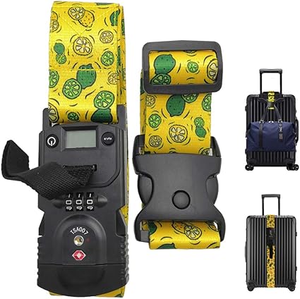 luggage belt lock