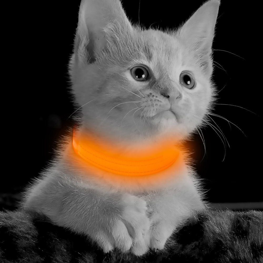 Clan_X Led Dog Collar, USB Rechargeable light up Pet Collar for small dogs, Glowing in the Dark Nylon Webbing Flashing Collar with Reflective Stitches Make Your Pets Visible & Safe (Orange)