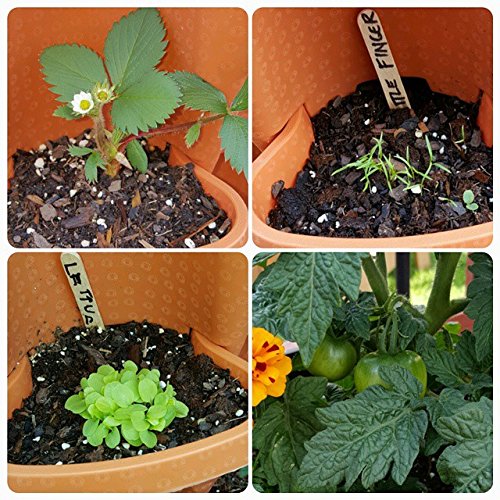 Mr. Stacky Self Watering 3 Tier Stackable Garden Vertical Planter Set, Terracotta Small - Thumbnail 5