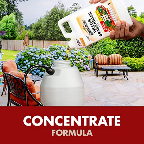 Spectracide Weed & Grass Killer Concentrate, Use On Driveways, Walkways