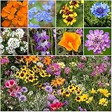 Seed Needs, Low Growing Wildflower Mixture (100% Pure Live Seed) 30,000 Seeds Open Pollinated