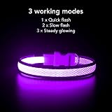 YFbrite Illuminated LED Dog Collar Purple Medium USB Rechargeable Safety Light view 3