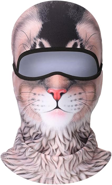 WTACTFUL Cagoule 3D pour vélo, moto, ski, snowboard, festivals 