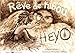 Heyo, rêve de hibou by 