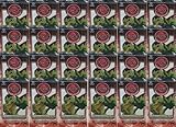 Chaotic Secrets of The Lost City ALLIANCES UNRAVELED Trading Card Game Booster - 24 Pack LOT (9 Cards/Pack)