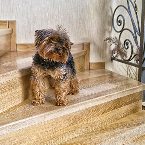 NonSlip Stair Treads 10 Pack Clear Step Strips 4"x24" Indoor & Outdoor AntiSlip Floor