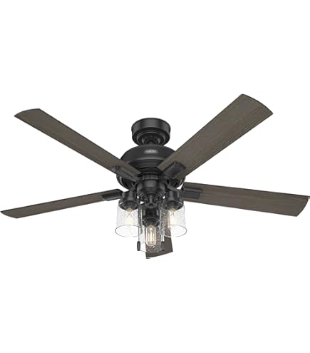 Amazon.com: Hunter 52 inch Indoor Ceiling Fan with LED Lights and